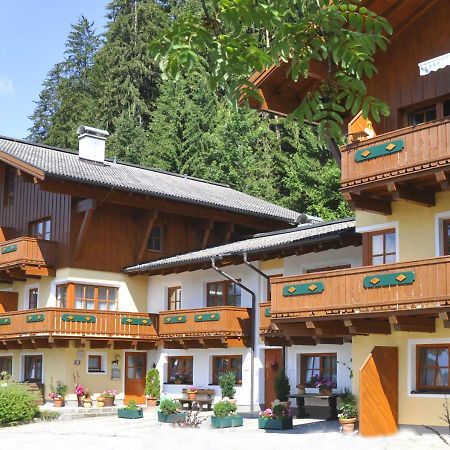 Chalet Zauberfloete Radstadt Buitenkant foto